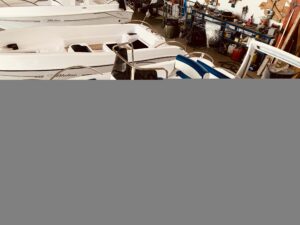 Bluline 19 Ft Open Plus